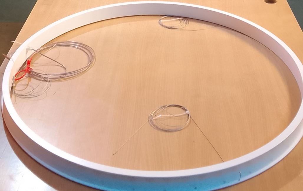 Egoluce | �������� 1531,01 Egoluce