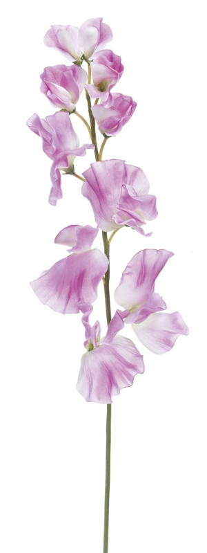 Euroflor | 63983.02 Sweetpea Stem rosa Euroflor