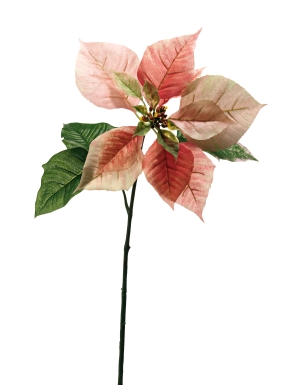 Euroflor | 66292 OH-CHRISTMAS VEINOUS POINSETTIA L=68cm Euroflor