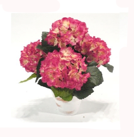 Concoral | 4903398 Hortensia fucsia Concoral