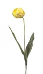 Euroflor | 54081.01 amarillo/verde Double Tulip H75cm Euroflor