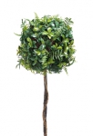 Euroflor | 67638 Wax leaf privet and fern ball topiary Euroflor