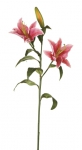 Euroflor | 62828.02 Rubrum Lily L90cm rosa Euroflor