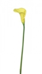 Euroflor | 60632 amarillo Calla mini flora Euroflor