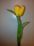Euroflor | 53893.04 amarillo Tulip bouquet Euroflor