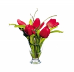 Euroflor | 63686.04 rojo Tulip arr mater Euroflor
