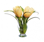 Euroflor | 63678.03 amarillo Tulip glass water Euroflor