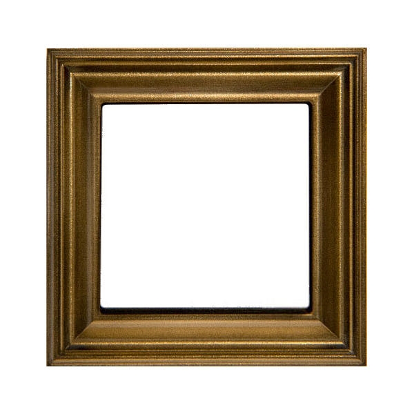 JUNG | EPD481AT ����� 1-������� �������� ������ ECO profi DECO JUNG