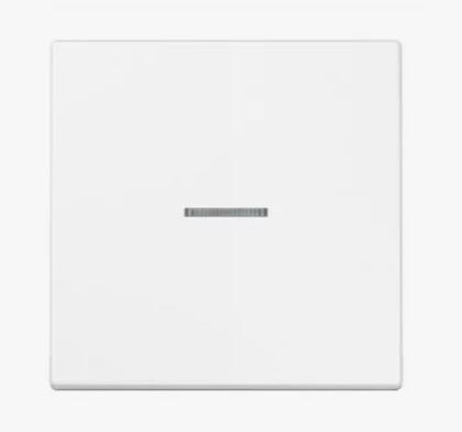 JUNG | EP490KOWW  1-    ECO profi JUNG