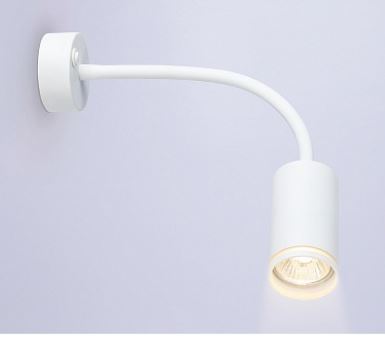  | FW2469  Ambrella Light