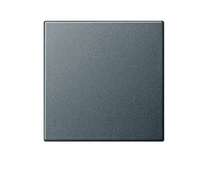 GIRA | 065526 ����� �������� ��� ��� � ����� ������� System2000 �������� System55G