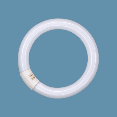 OSRAM | G10q L40W/840  (�������� ����� 4000K)  Osram 014845 D406mm  - �����