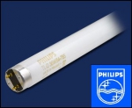 PHILIPS     | G13  L18/827  TL-D   Philips
