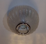 | BOLLE PL  Copyright