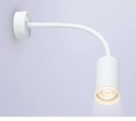  | FW2469  Ambrella Light